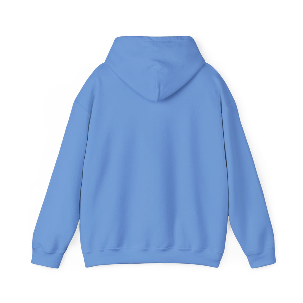 Field Goals Sportswear Hoodie – Players Silhouette Pullover