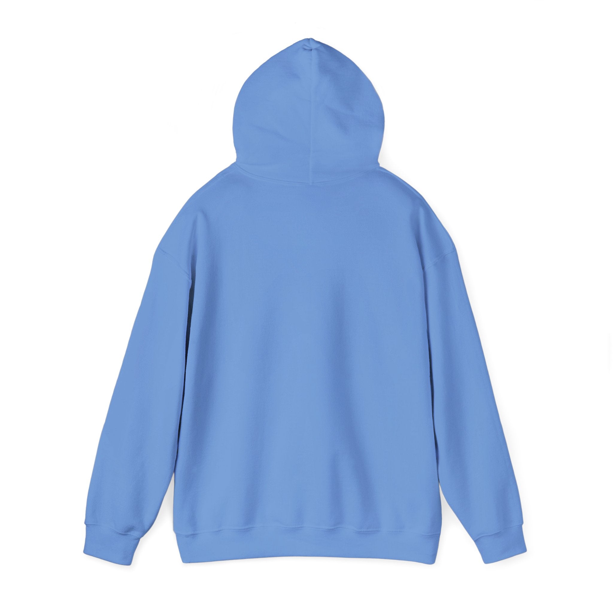 Field Goals Sportswear Hoodie – Players Silhouette Pullover