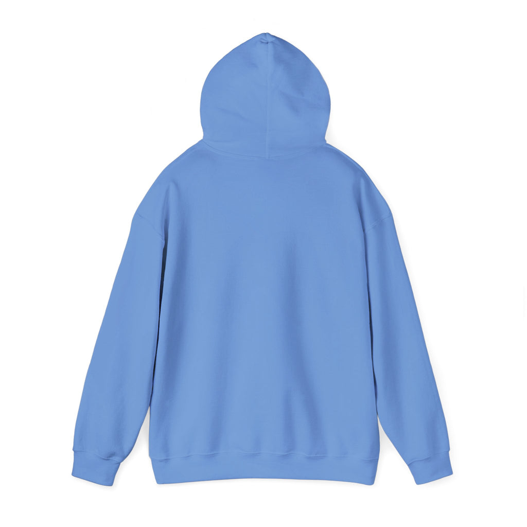 Field Goals Sportswear Hoodie — Graffiti Artist Graphic  Pullover