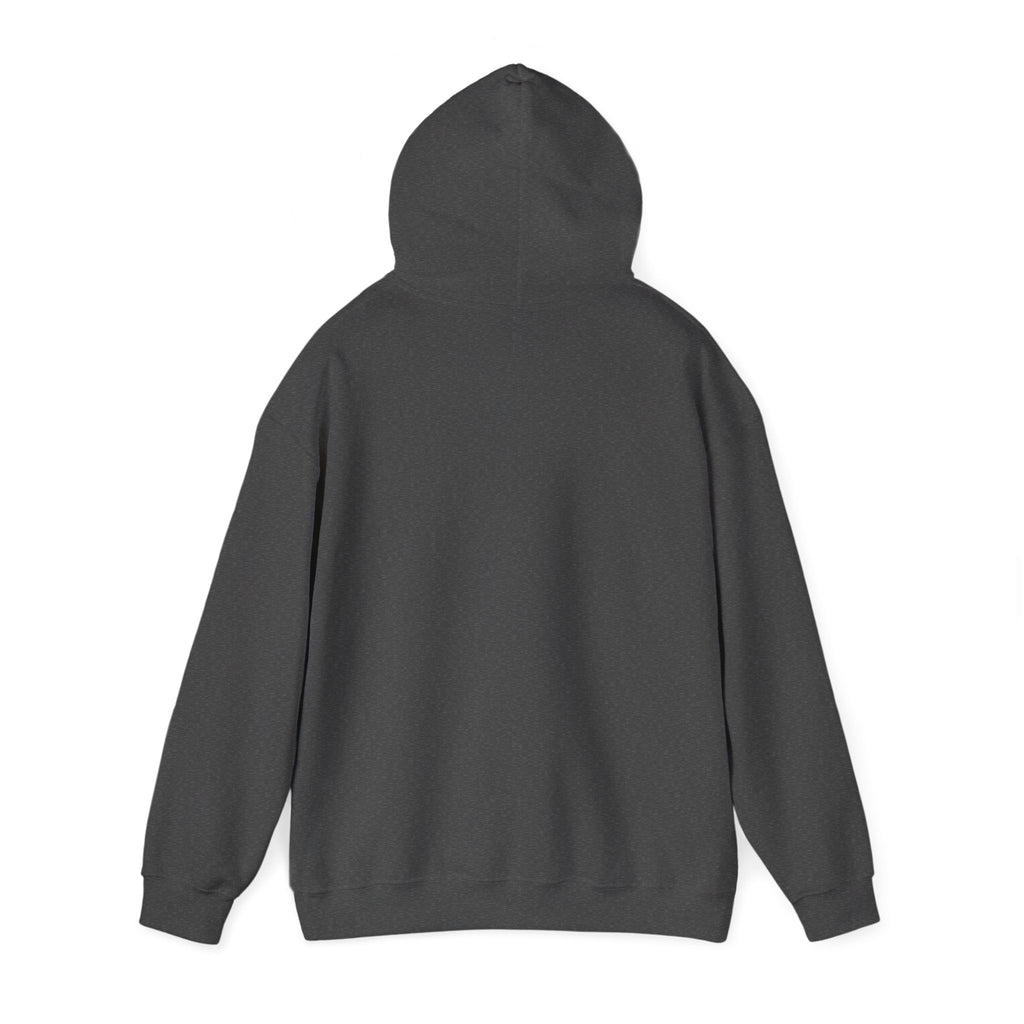 Field Goals Sportswear Hoodie – Players Silhouette Black Pullover